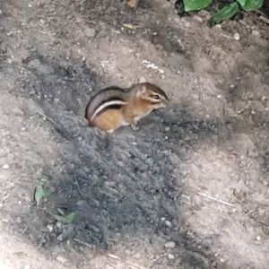 Meet your Posher, Cindy